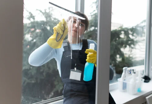 Nettoyage de vitres intérieures et extérieures à Trégastel